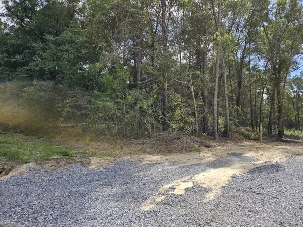 Crestview, FL 32536,3.65 ACRES Adams Road