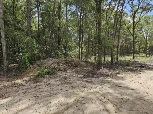 Crestview, FL 32536,3.65 ACRES Adams Road