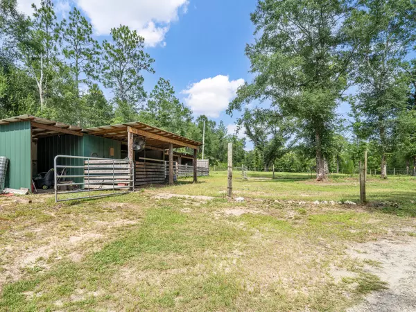 Holt, FL 32564,4449 Wilkerson Bluff Road