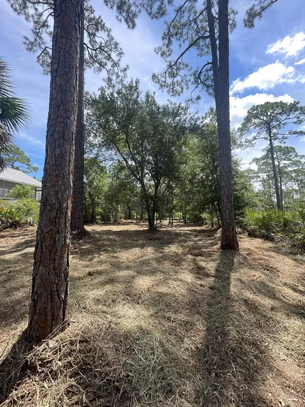 Cape San Blas, FL 32456,Lot 9 SR 30A