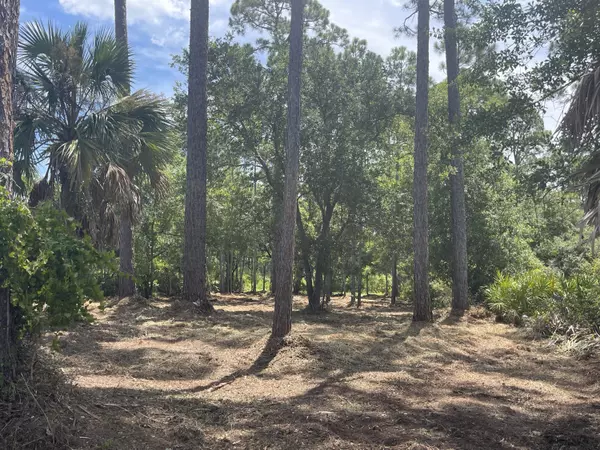 Cape San Blas, FL 32456,Lot 9 SR 30A