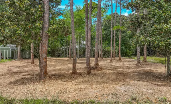 Santa Rosa Beach, FL 32459,000 EDDY Lane  #Lots 1 & 2