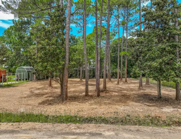 Santa Rosa Beach, FL 32459,000 EDDY Lane  #Lots 1 & 2