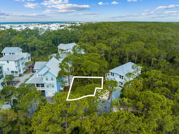 Inlet Beach, FL 32461,Lot 42 Treetop