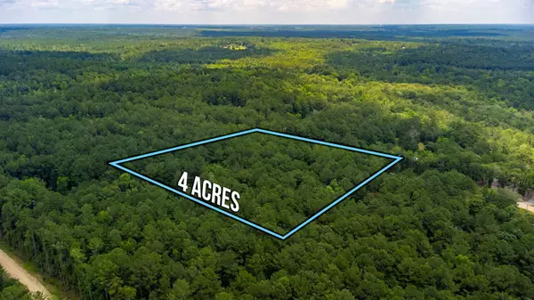 Defuniak Springs, FL 32435,TBD Agnes Trail