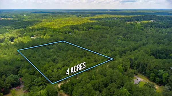 TBD Agnes Trail, Defuniak Springs, FL 32435