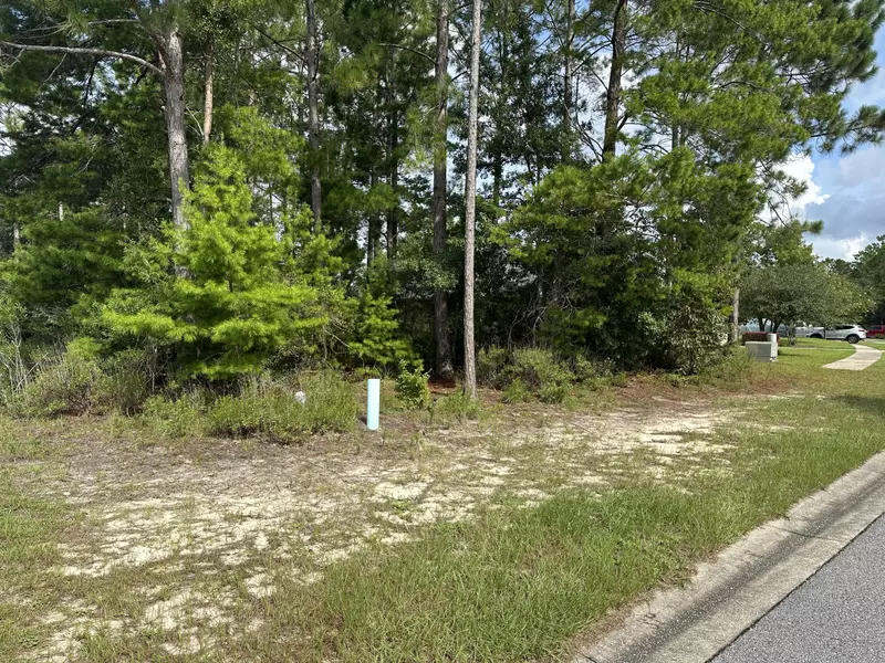 Lot 129 Amadeus Avenue, Freeport, FL 32439