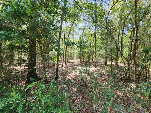 Defuniak Springs, FL 32433,00 Deer Valley Road