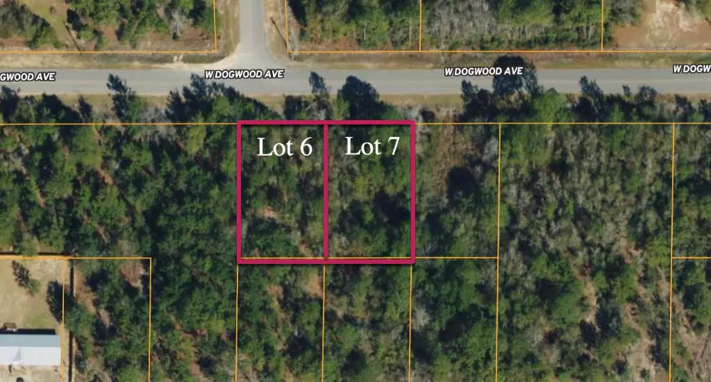 Defuniak Springs, FL 32433,6 W Dogwood Avenue