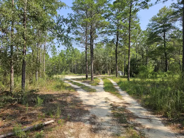 Defuniak Springs, FL 32433,280 W Seneca Drive