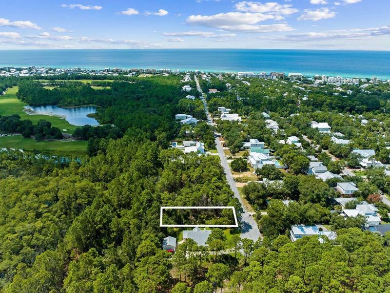 Lot 2 Seacrest Drive, Inlet Beach, FL 32461