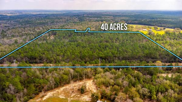 40 Acres Hallelujah Trail, Defuniak Springs, FL 32433