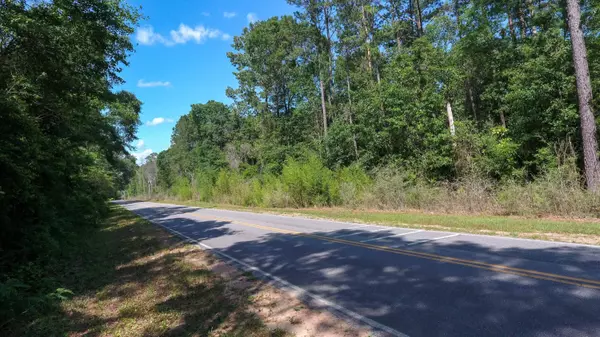 Defuniak Springs, FL 32433,1.3 N Williams Road