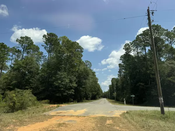 Defuniak Springs, FL 32435,0 Wildwood Lks Drive