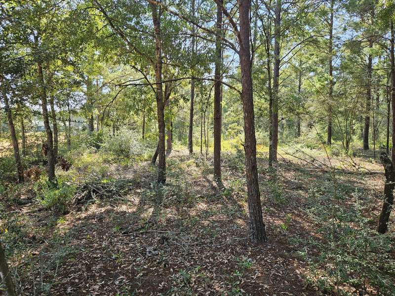 4 Lots W Juniper Avenue, Defuniak Springs, FL 32433