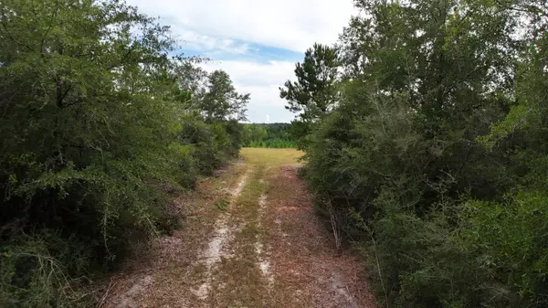 Crestview, FL 32539,150 ac Richardson Road