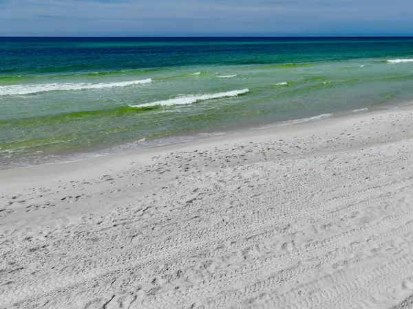 Inlet Beach, FL 32461,154 Sand Cliffs Drive