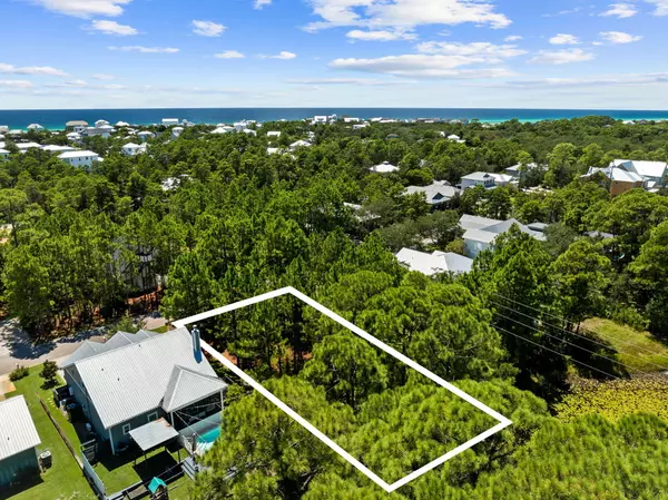 31 Spotted Dolphin Road, Santa Rosa Beach, FL 32459