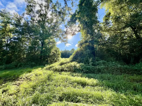 Ponce De Leon, FL 32455,TBD St Highway 81 #(170 Acres)