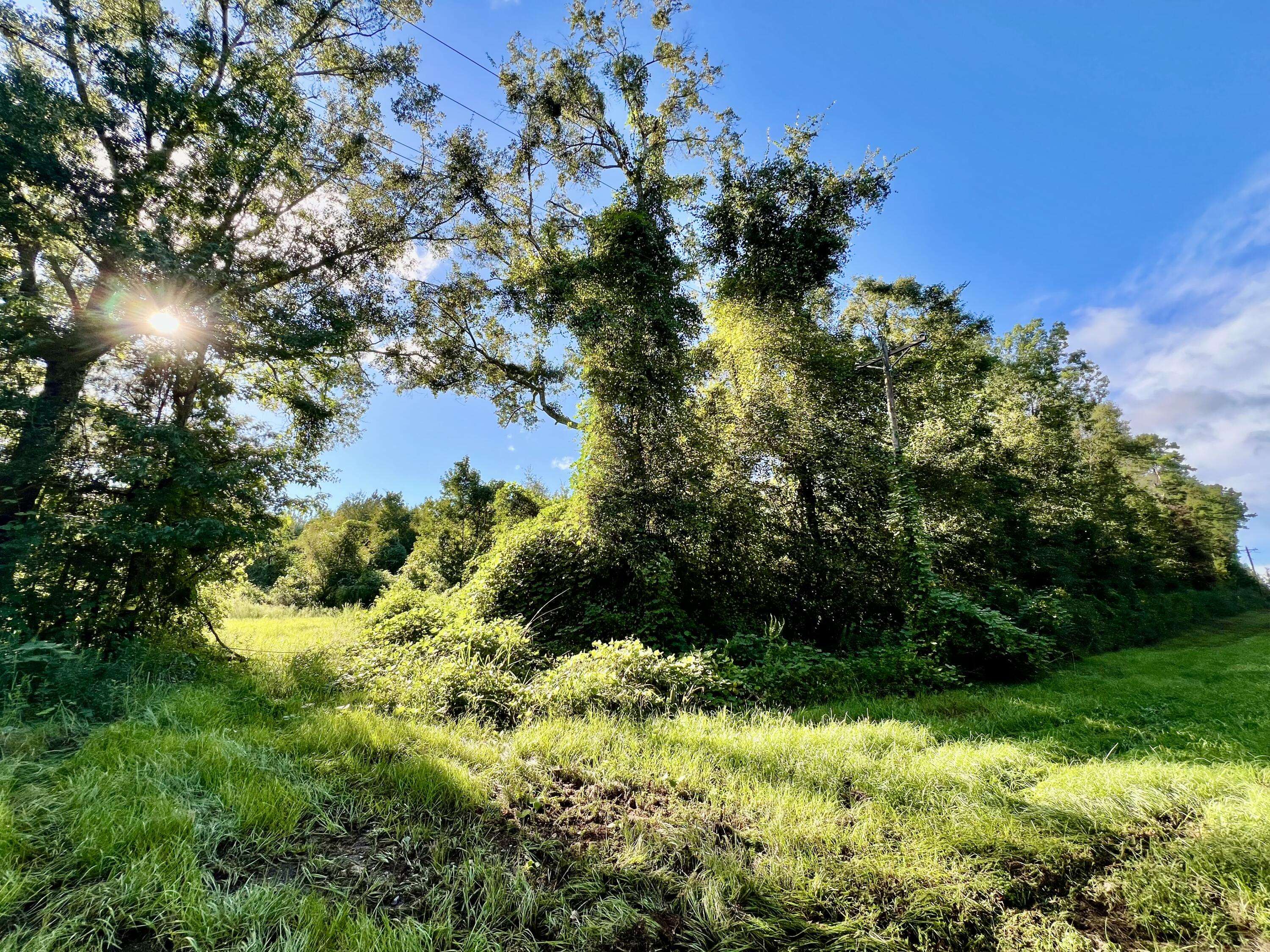 Ponce De Leon, FL 32455,TBD St Highway 81  #(170 Acres)