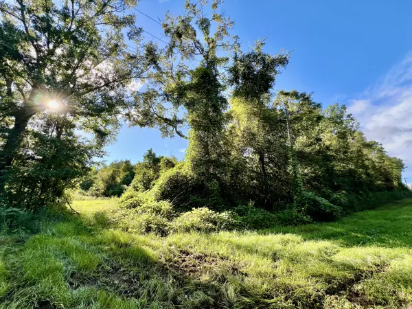 Ponce De Leon, FL 32455,TBD St Highway 81  #(170 Acres)