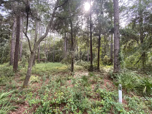 Santa Rosa Beach, FL 32459,Lot 16B Osprey Lane