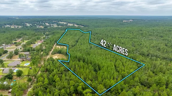 Laurel Hill, FL 32567,42 AC Welannee Boulevard