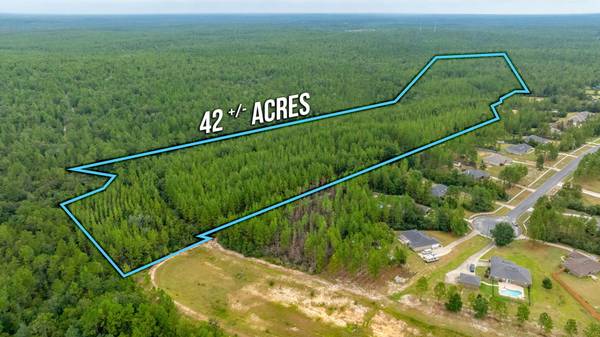 42 AC Welannee Boulevard, Laurel Hill, FL 32567