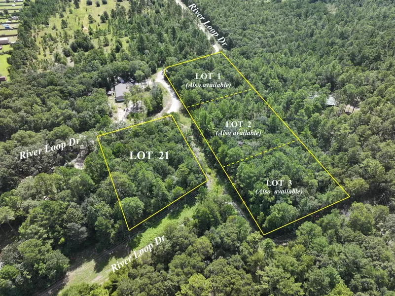 TBD River Loop Drive  #Lot 21, Crestview, FL 32536