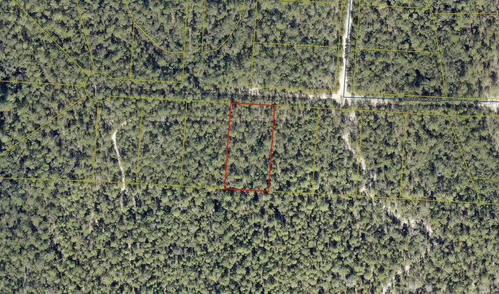 Lot 5 Strong Bishop Way, Defuniak Springs, FL 32433