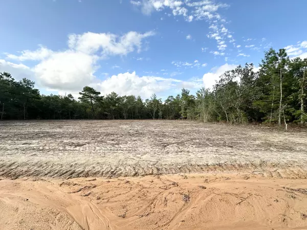 Defuniak Springs, FL 32433,Lot 23 Red Magnolia Lane