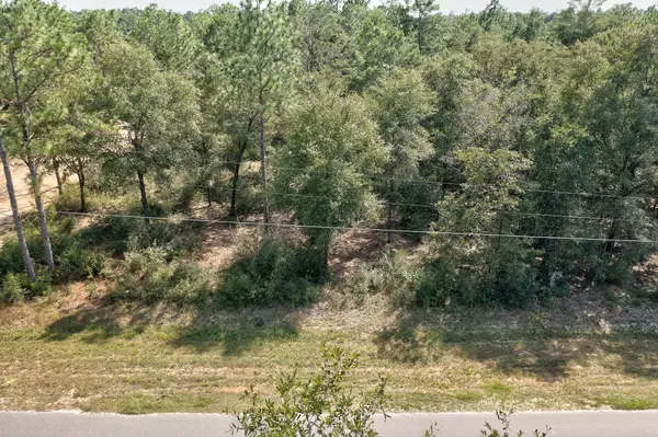 Defuniak Springs, FL 32433,Lot2 W Violet Lane