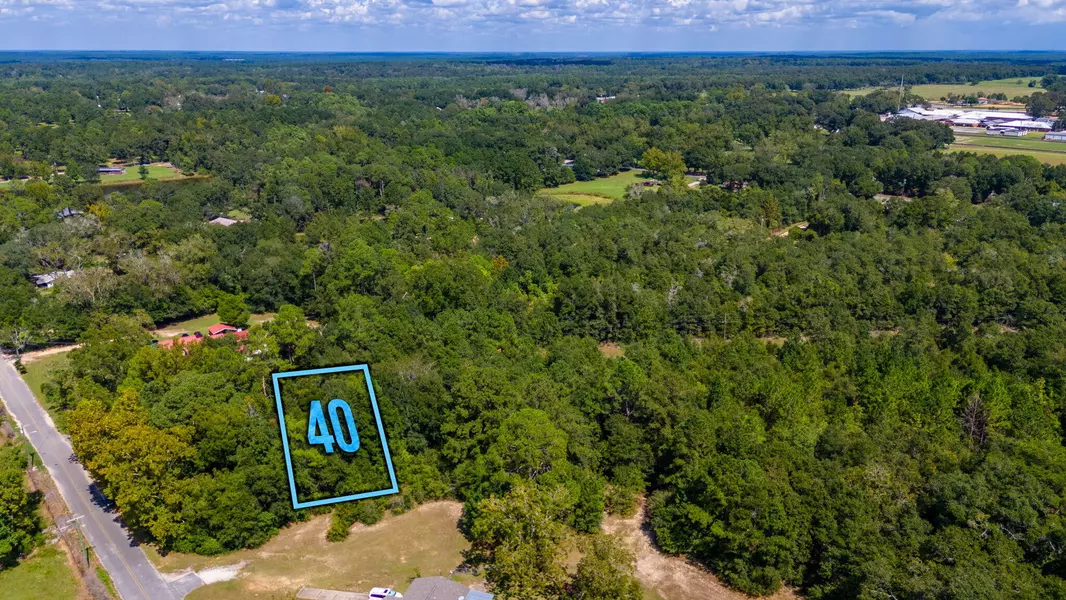 LOT 40 Cannon Drive, Paxton, FL 32538