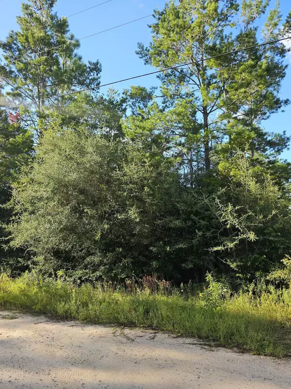 Defuniak Springs, FL 32433,Lot 2 W BLUEBOTTLE CT