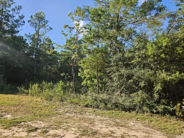 Lot 2 W BLUEBOTTLE CT, Defuniak Springs, FL 32433