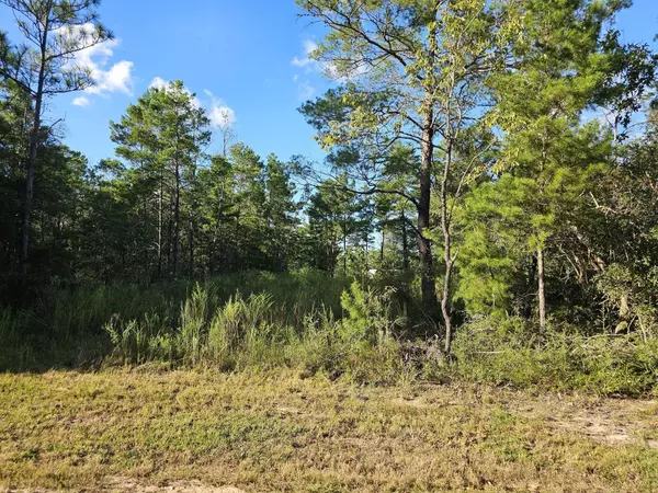 Defuniak Springs, FL 32433,Lot 3 W BLUEBOTTLE CT