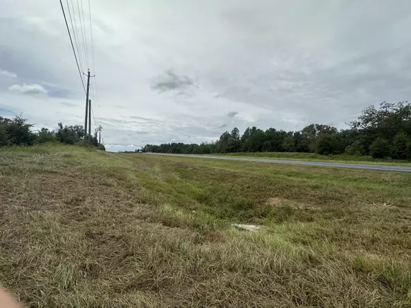 Bonifay, FL 32425,Tract#6415 Hwy 79