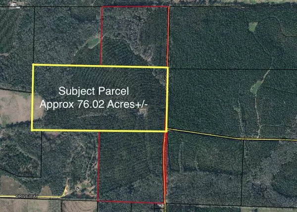 Bonifay, FL 32425,Tract#6301 W Love Road  #76.02Acres+/-