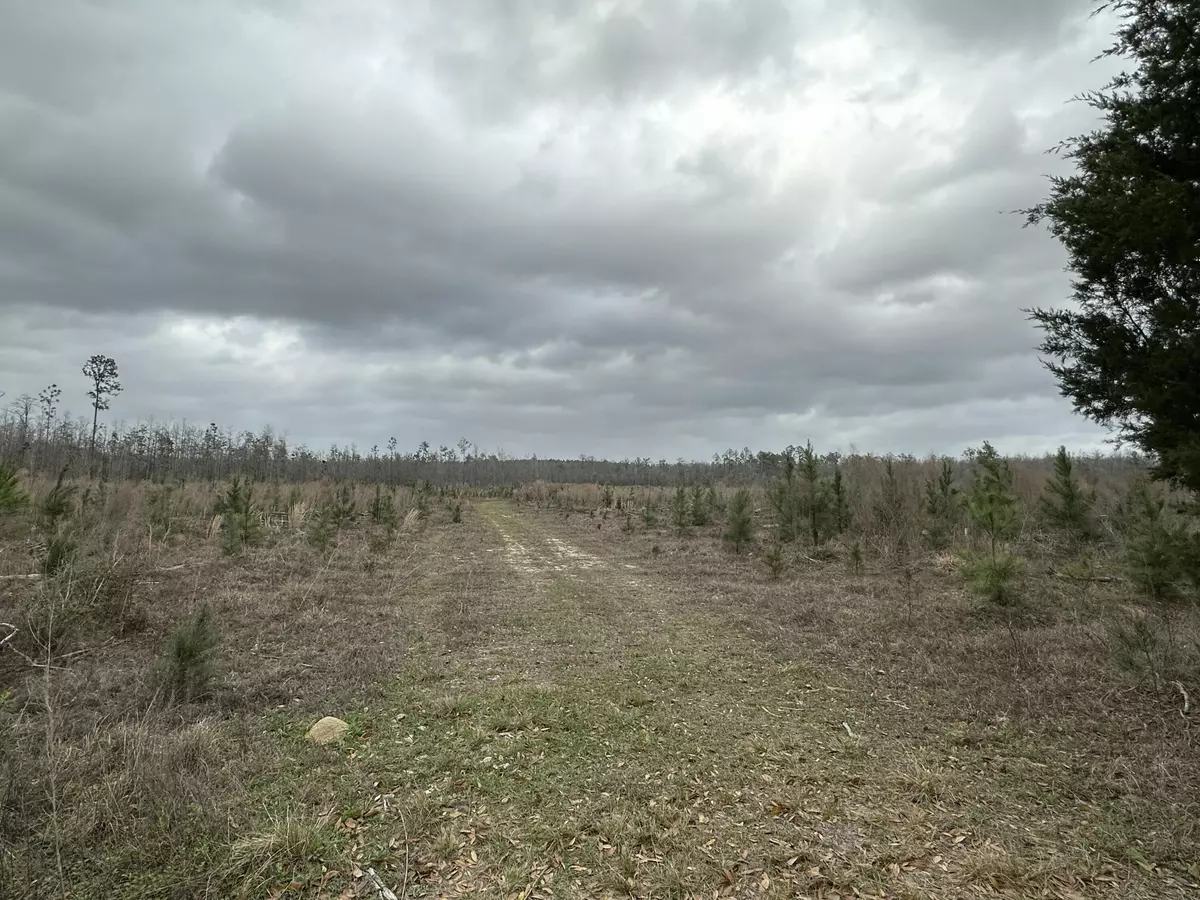 Bonifay, FL 32425,3934 Sand Path Road #Tract#6405