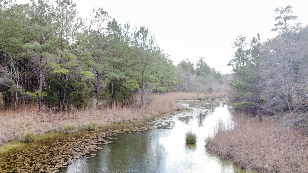 79 Acres Bucking Up Road, Laurel Hill, FL 32567