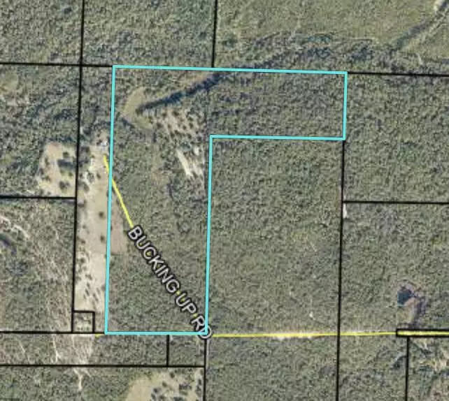 Laurel Hill, FL 32567,79 Acres Bucking Up Road