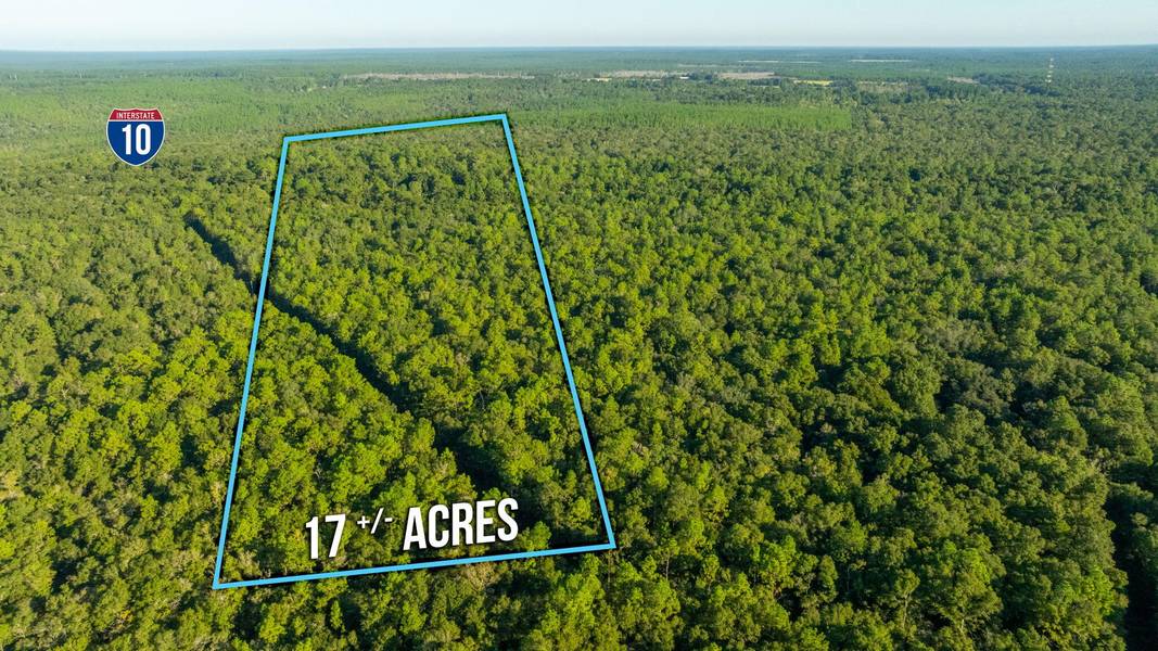 17 Acres Lyons Place, Holt, FL 32564