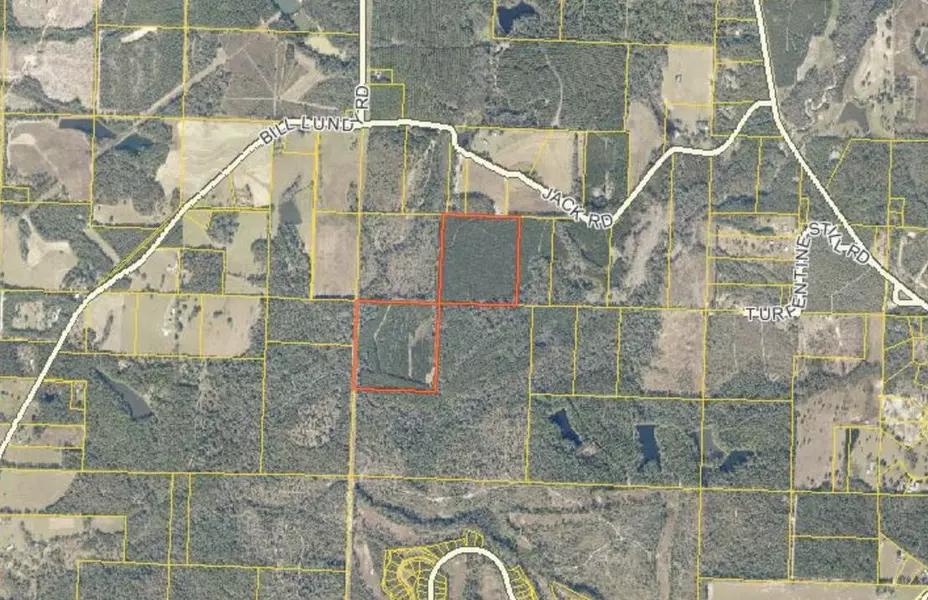 75 Acres S Jack Road, Laurel Hill, FL 32567