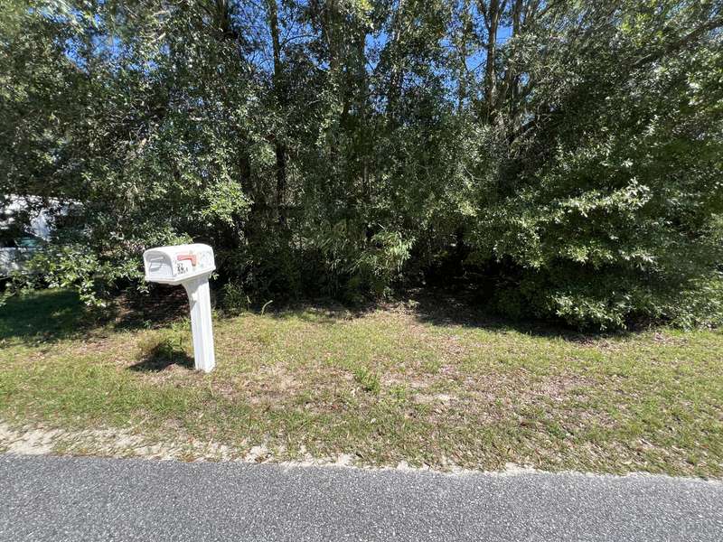 356 Goodwin Creek Road, Freeport, FL 32439