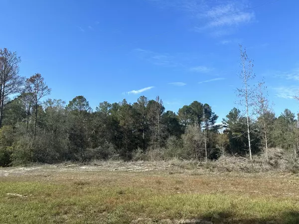 Tract#6201 W County Hwy 181  #Nat B-01, Defuniak Springs, FL 32433