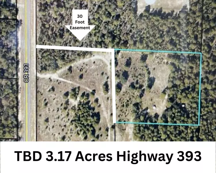 TBD 3.17 AC highway 393 Highway, Crestview, FL 32539