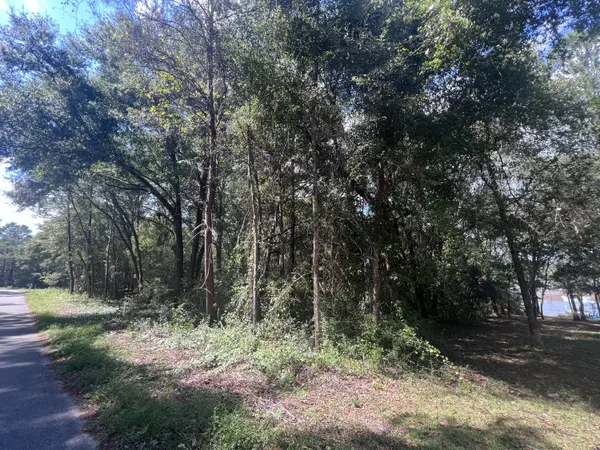 Defuniak Springs, FL 32433,14 Marion Drive