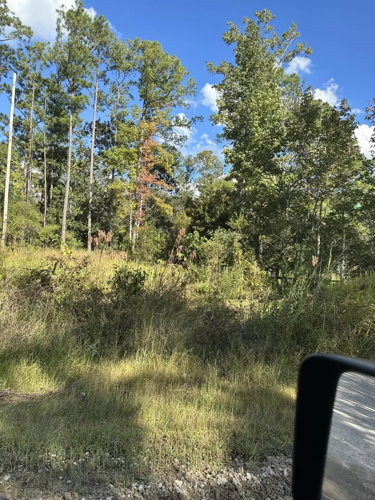 Freeport, FL 32439,Lot 6 Johns Lane