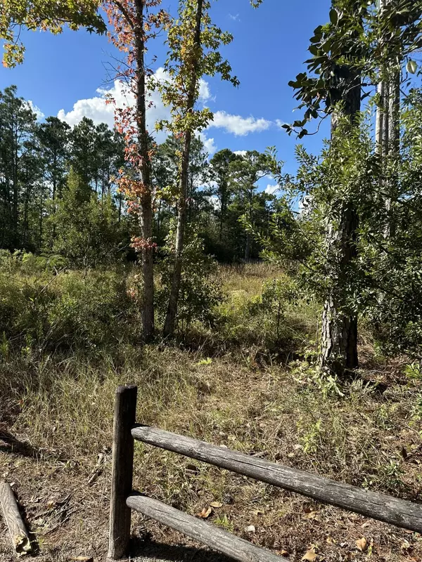 Freeport, FL 32439,Lot 7 Johns Lane