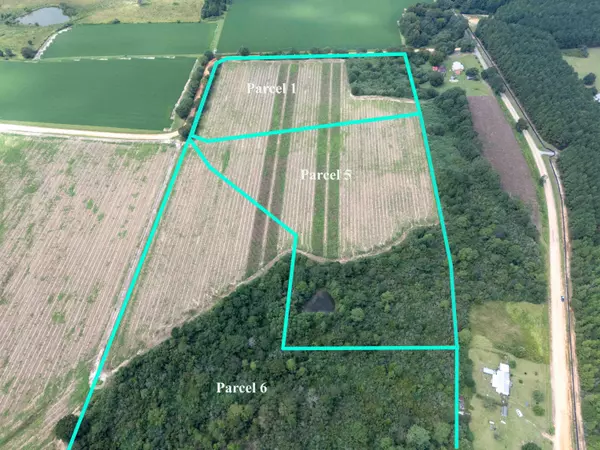 Defuniak Springs, FL 32435,Lot 1 Bryan Road